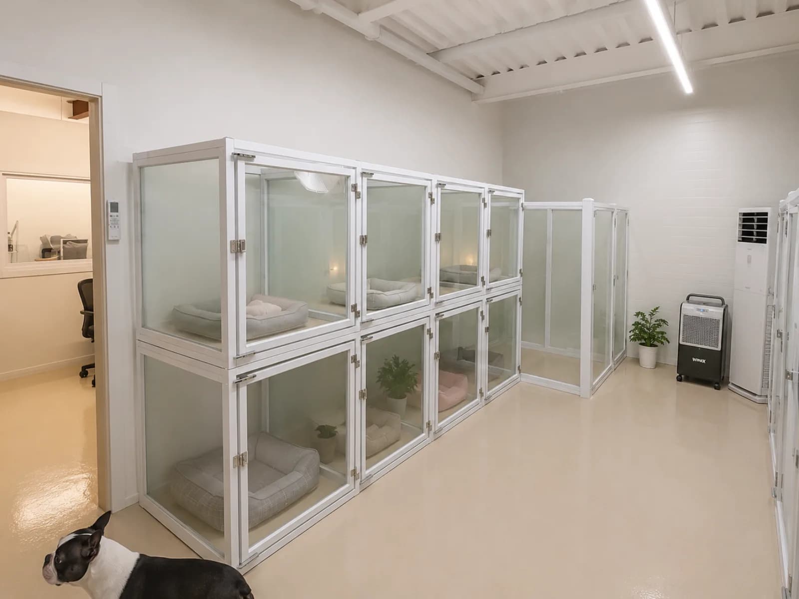 포근한 잠자리가 놓인 유리 개별 보호실