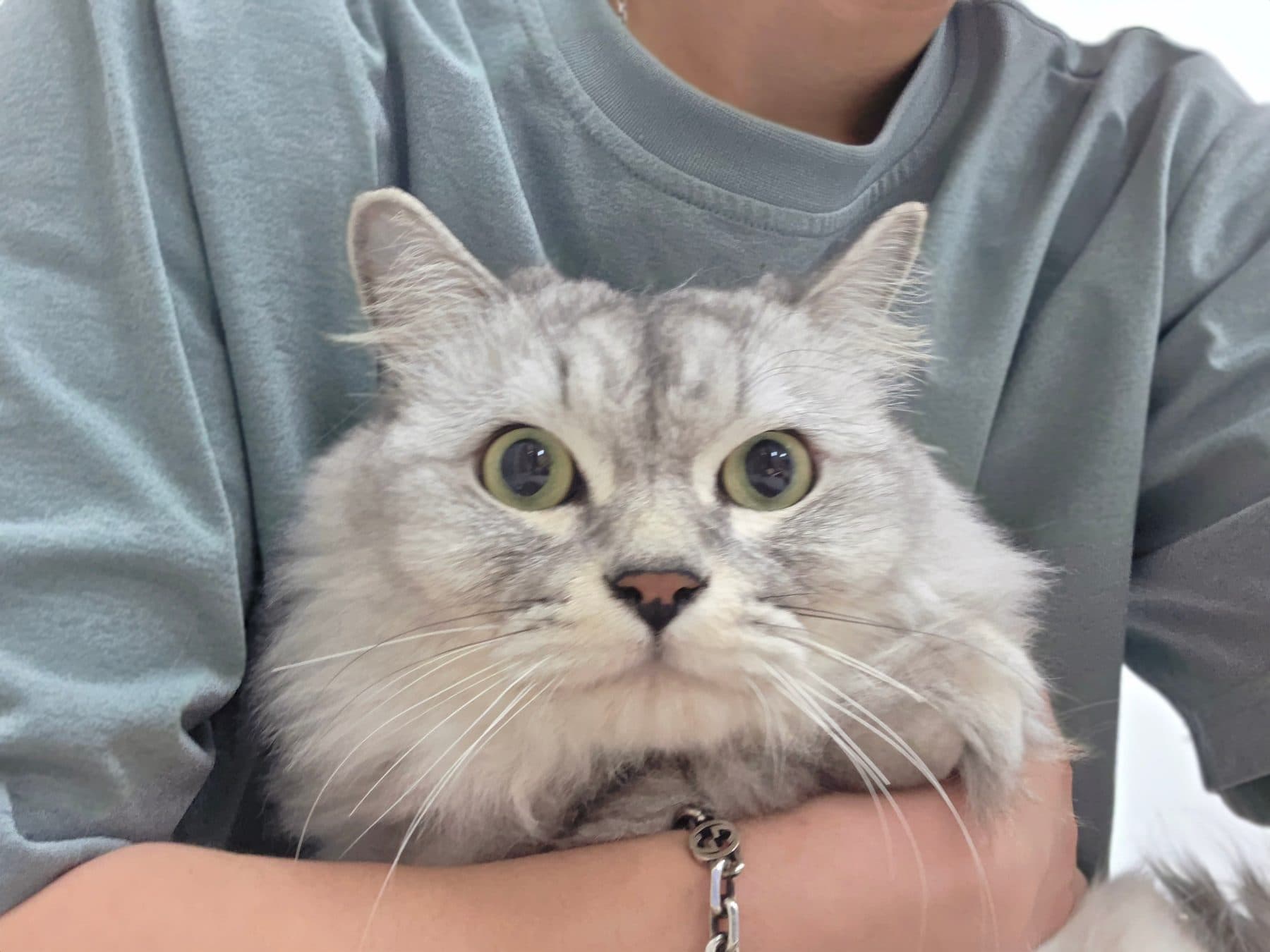 막내의 모습