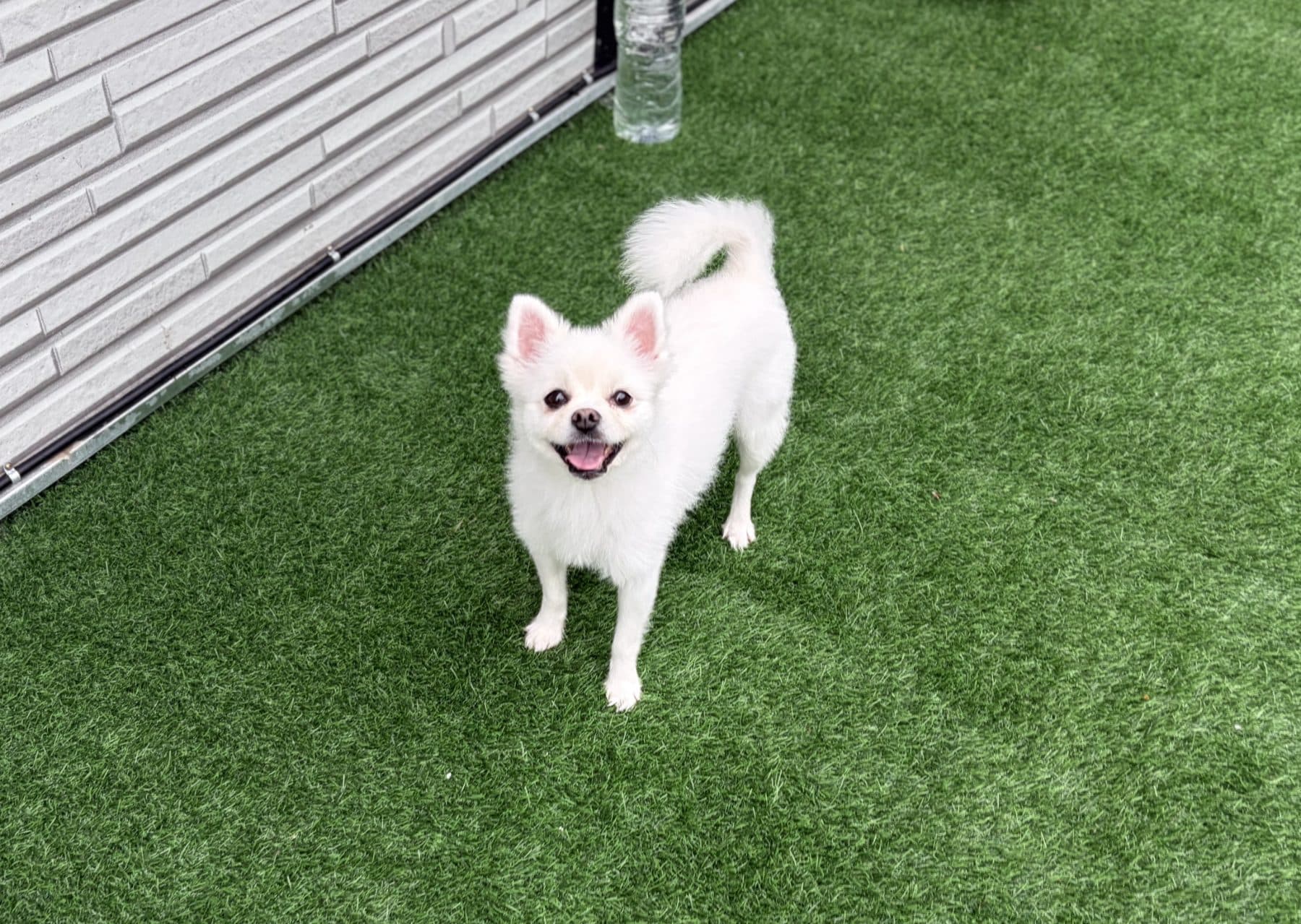 주주의 모습